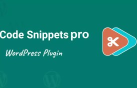 تصویر افزونه کد اسنیپت پرو | مدیریت کدهای سفارشی وردپرس | Code Snippets Pro 