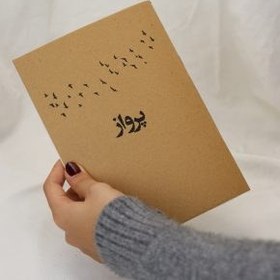 تصویر پلنر پرواز 