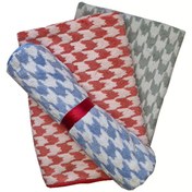 تصویر حوله شنای PTB 