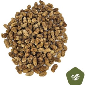 تصویر توت خشک لوکس 