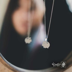 تصویر پلاک خوک قلک کد 41815 