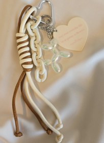 تصویر چارم بگ 