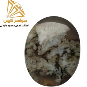 تصویر نگین شجر بهاری (کد۷۶) 