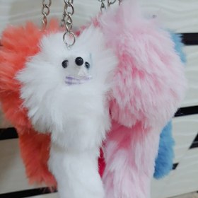 تصویر جاکلیدی سمور 