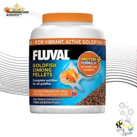 تصویر غذای گرانول گلدفیش پروتئینه ۲۰۰ میل فلووال Fluval Goldfish Flakes 200ml