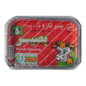 تصویر بصیر پنیر نسبتا چرب 400 گ 
