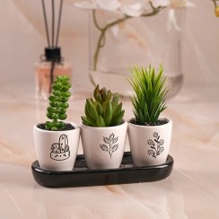 تصویر گلدان سه تایی کاکتوس 