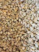 تصویر اسپند نخودی ۱ کیلوگرم درجه یک 