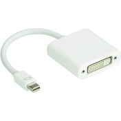 تصویر تبدیل Mini Display به DVI-D رویال Royal 