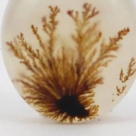 تصویر سنگ شجر کد 2385 