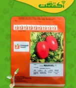 تصویر بذر گوجه مارول پاکت 5000 عددی 