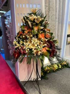 تصویر فروشگاه گل و گیاه فلوریکا