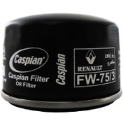 تصویر فیلتر روغن خودرو کاسپین مدل FW-75/3 مناسب برای رنو ساندرو 