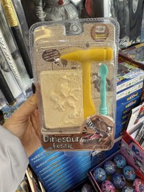 تصویر ست فسیل شناسی 