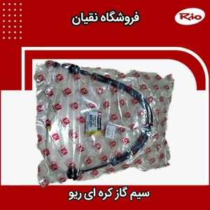 تصویر فروشگاه نقیان