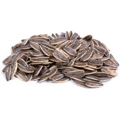 تصویر تخمه آفتابگردان دورسفید تنوری 