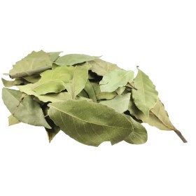 تصویر برگ بو 