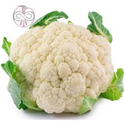 تصویر بذر گل کلم سفید آرکا بذر ایرانیان Cauliflower Arka Bazr Iranian Seeds