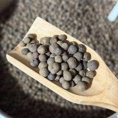 تصویر بهار فلفل دانه