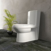تصویر توالت فرنگی کلین گلسار (انتی باکتریال ) 