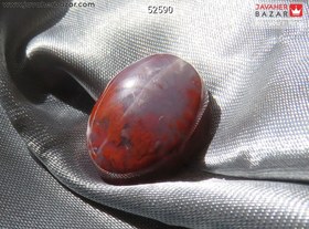 تصویر نگین شجر خوش رنگ کد 52590 