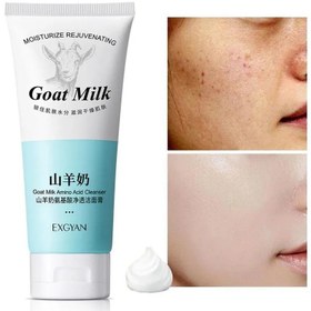 تصویر فوم شستشوی صورت مرطوب کننده شیر بز و نیکوتین آمید EXGYAN GOAT MILK NICOTINAMIDE CLEANSER EXGYAN