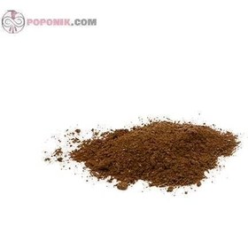 تصویر چهار زیره هندی 