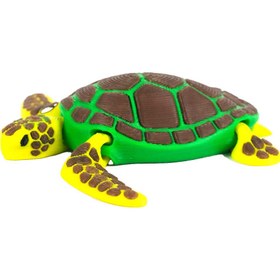 تصویر لاکپشت پیر 