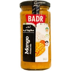 تصویر بدر ترشی مخلوط انبه 370 گرم 