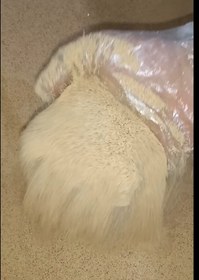 تصویر پودر سنجد ۳۲۰ گرمی 