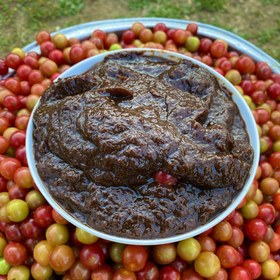 تصویر رب آلوچه جنگلی 