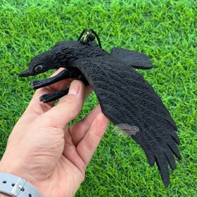 تصویر آویز قرقی رنگی 