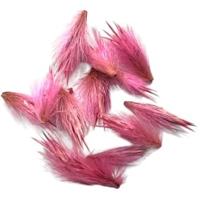 تصویر گل خشک قاصدک صورتی G102 