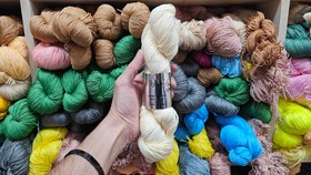 تصویر مرسریزه سارا - 38 Sara merserize