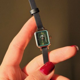 تصویر دنیل مینی سبز چرم 