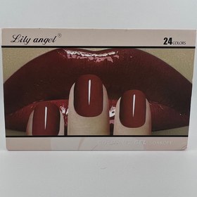 تصویر پینت ژل ۲۴ عددی 