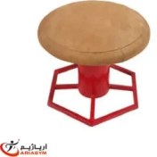 تصویر قارچ ژیمناستیک سطح محدب پایه چند ضلعی قطر 60 دو حلقه 