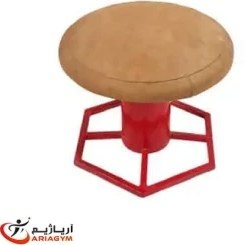 تصویر قارچ ژیمناستیک سطح محدب پایه چند ضلعی قطر 60 یک حلقه 
