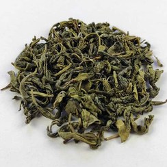 تصویر چای سبز قلم لاهیجان 