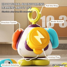 تصویر بیزی بال طوطی 