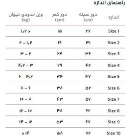 تصویر شورتکس ساده سایز 2 