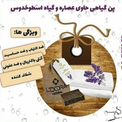 تصویر پن گیاهی حاوی عصاره گیاه اسطوخودوس 