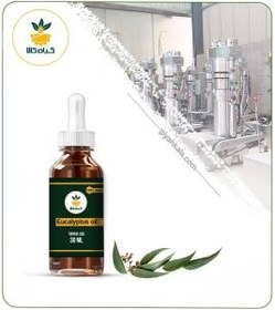 تصویر روغن اکالیپتوس 