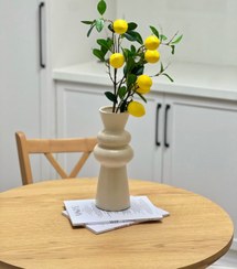 تصویر شاخه لیمو وارداتی 