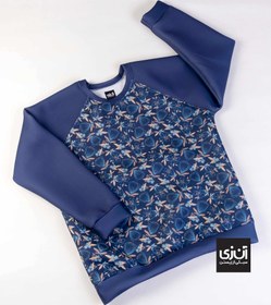 تصویر پلیور اسفنجی 