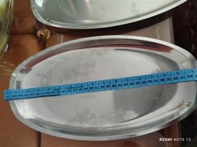 تصویر دیس مرغ خوری 