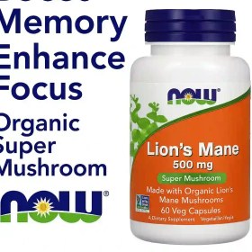 تصویر قارچ یال شیر ناو Lions Mane NOW