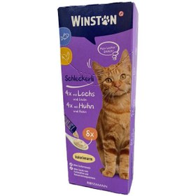 تصویر بسته بستنی گربه وینستون Winstone Pack مجموعه 2 عددی 