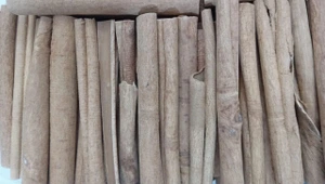 تصویر فروشگاه آیرا اسپایسس