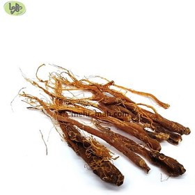 تصویر ریشه جنسینگ 